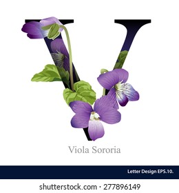 Letter V  vector alphabet with viola  ABC concept type as logo. Typography design.