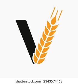 Letter V Wheat Logo For Agriculture Symbol Vector Template