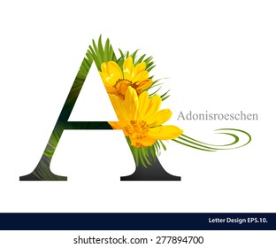 Letter A vector alphabet with adonisroeschen flower. ABC concept type as logo. Typography design