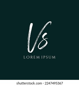 Letter VS luxury logo design vector