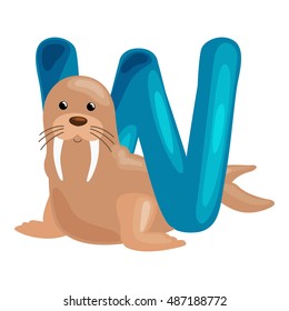 letter W with animal walrus for kids abc education in preschool.