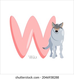 Letter W. Children's alphabet, cute wolf. Vector illustration for learning English