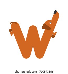 Letter W is dog. pet font. Dachshund alphabet. Lettering home animal. Vector illustration