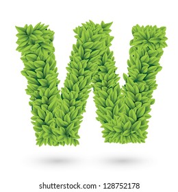 Letter W of green leaves with shadow. Vector illustration