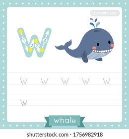 Letter W lowercase cute children colorful zoo and animals ABC alphabet tracing practice worksheet of Blue Whale for kids learning English vocabulary and handwriting vector illustration.