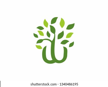 Letter W Tree Leaf Logo with Green Trees that grow rapidly for all your businesses.