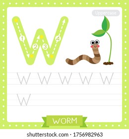 Letter W uppercase cute children colorful zoo and animals ABC alphabet tracing practice worksheet of Happy Worm for kids learning English vocabulary and handwriting vector illustration.