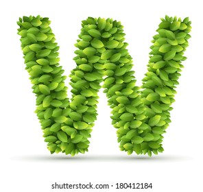 Letter W, vector alphabet of green leaves  on white background