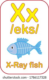 Letter X. Alphabet tutorial cards collection. Vector illustration. Children alphabet flash card. Kids abc education. Learning English vocabulary. 
