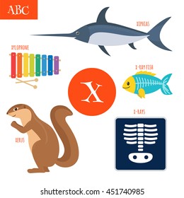 Letter X. Cartoon alphabet for children. Xylophone, x-rays, x-ray fish, xerus, xiphias. Vector illustration