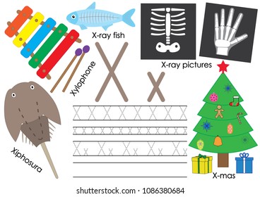 Letter X. Education for children. Learning English alphabet with writing practice. Vector illustration.