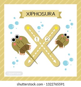 Letter X uppercase cute children colorful zoo and animals ABC alphabet tracing flashcard of Xiphosura for kids learning English vocabulary and handwriting vector illustration.