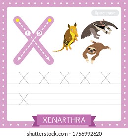 Letter X uppercase cute children colorful zoo and animals ABC alphabet tracing practice worksheet of Xenarthra for kids learning English vocabulary and handwriting vector illustration