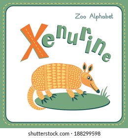 Letter X - Xenurine. Alphabet with cute animals. Vector illustration.Other letters from this set are available in my portfolio.
