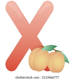 Letter X and ximens on a white background, training card. English vocabulary and alphabet, vector for children, learning aid in kindergarten and school