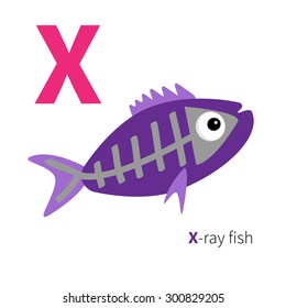 Letter X X-ray fish Zoo alphabet. English abc with animals Education cards for kids Isolated White background Flat design Vector illustration