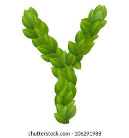 Letter Y of alphabet made from green leaves.