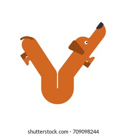 Letter Y is dog. pet font. Dachshund alphabet. Lettering home animal. Vector illustration