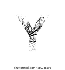 Letter Y double exposure with black tree isolated on white background.Vector  illustration.Black and white double exposure silhouette numbers combined with photograph of nature.Letters of the alphabet