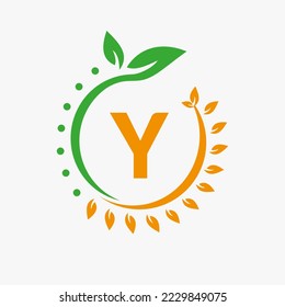 Letter Y Healthcare Logo. Logo des Arztes, Medizinische Apotheke Eco Leaf Symbol Design