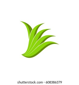letter y with leaf logo