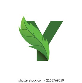 Letter Y Leaf Logo Design Vector