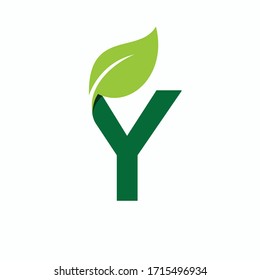 Letter Y Leaf Logo Template