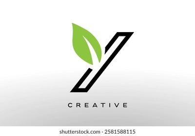 Letter Y logo design with green leaf made of black lines vector Illustration