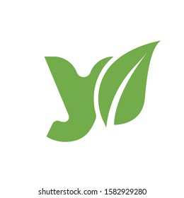 letter y logo with leaf. nature logo