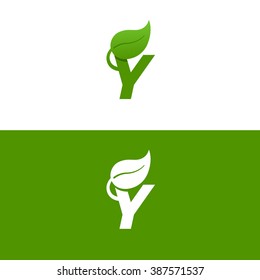 Letter Y logo template with green Leaf. Eco design element. Vector illustration. Corporate branding identity