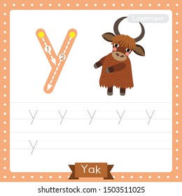 Letter Y lowercase cute children colorful zoo and animals ABC alphabet tracing practice worksheet of Yak standing on two legs for kids learning English vocabulary and handwriting vector illustration.