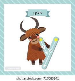 Letter Y lowercase cute children colorful zoo and animals ABC alphabet tracing flashcard of Yak standing on two legs for kids learning English vocabulary and handwriting vector illustration.