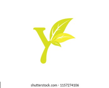 Letter Y nature with leaf logo vector