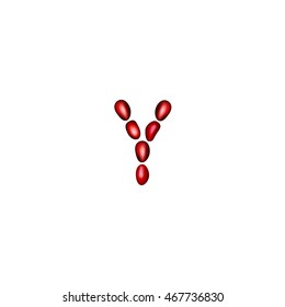 Letter Y with pomegranate seeds on a white background