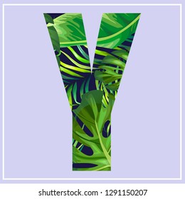 letter Y , typography, jungle background, vector illustration 