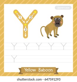 Letter Y uppercase tracing practice worksheet with yellow baboon for kids learning to write. Vector Illustration.