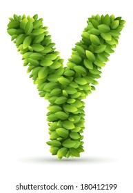 Letter Y, vector alphabet of green leaves  on white background