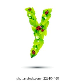 Letter Y, vector alphabet of green leaves,ladybugs and water drop on white background