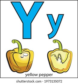 The letter Y. Yellow pepper. Color ALPHABET with fruits and vegetables.