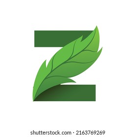 vector de diseño del logotipo de la letra Z