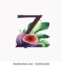 Letter Z logo with fresh ripe purple fig fruit and slices with leaf. Vector watercolor hand drawn illustration, isolated on white background.