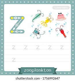 Letter Z lowercase cute children colorful zoo and animals ABC alphabet tracing practice worksheet of Zooplankton for kids learning English vocabulary and handwriting vector illustration.