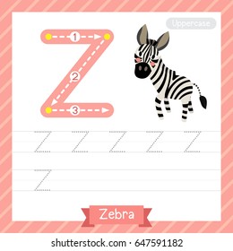 Letter Z uppercase tracing practice worksheet with zebra for kids learning to write. Vector Illustration.