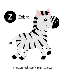 Letter Z. Zebra. Zoo animal alphabet. English abc with cute cartoon kawaii funny baby animals. Education cards for kids. Isolated. White background. Flat design. Vector illustration
