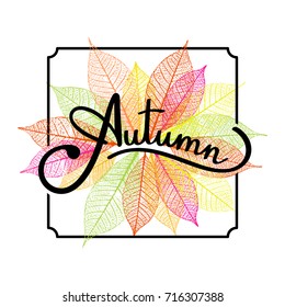 Lettering Autumn on backdrop with skeleton leaves. Autumn background. Vector illustration
