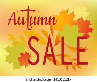 Lettering Autumn sale, banner with colorful seasonal autumn leaves on a maroon background for a discount purchase. Vector illustration.