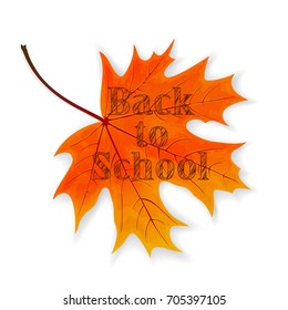 Lettering Back to School on maple leaf, illustration.
