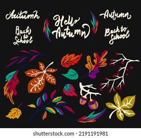 Lettering with a collection of autumn exotic leaves. Ethnic floral pattern, border, wreath. Poser with the inscription back to school, hello autumn. Banner with foliage of maple, chestnut, linden, asp