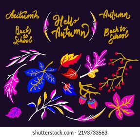 Lettering with a collection of autumn exotic leaves. Ethnic floral pattern, border, wreath. Poser with the inscription back to school, hello autumn. Banner with foliage of maple, chestnut, linden, asp