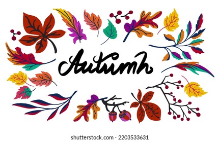 Lettering with a collection of autumn exotic leaves. Ethnic floral pattern, border, wreath. Poser with the inscription back to school, hello autumn. Banner with foliage of maple, chestnut, linden, asp